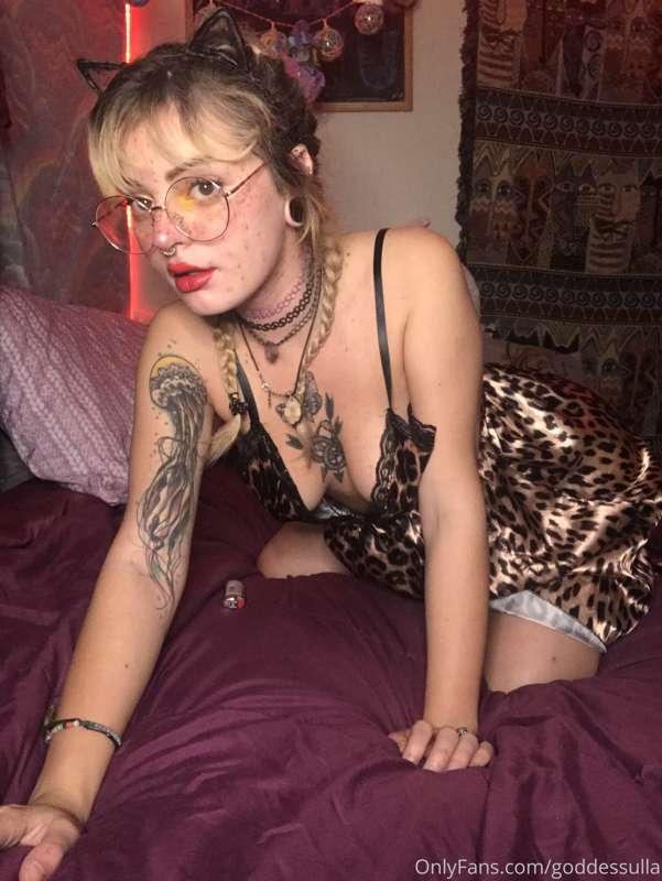 🐆🐆