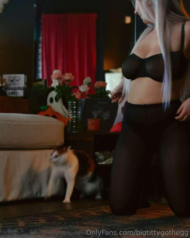 bigtittygothegg image #0
