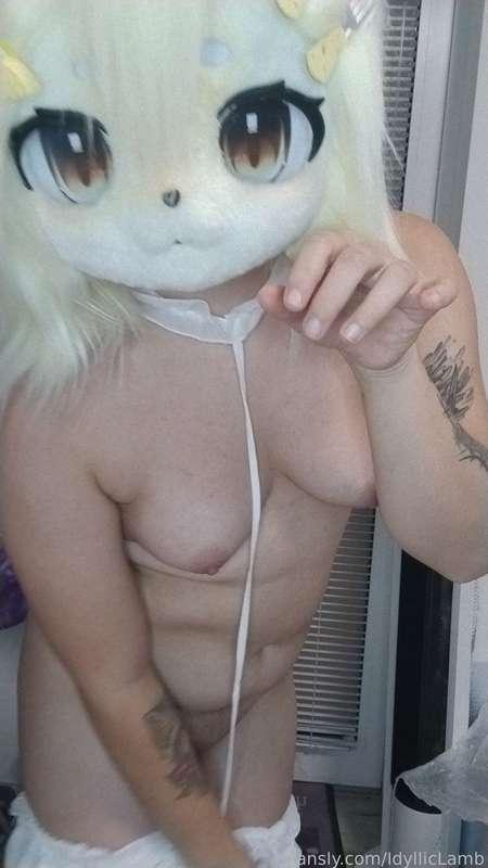 idylliclamb image #4