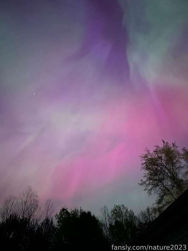 nature2023 image #5