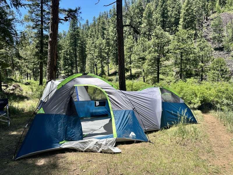 Camp is cozy. Cats are happy! 