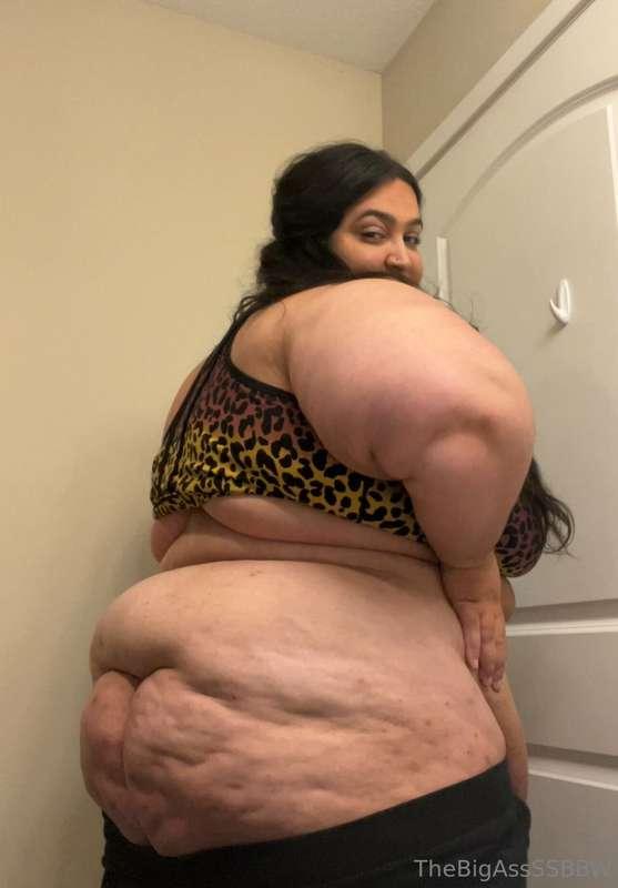 thebigassssbbw1 image #1