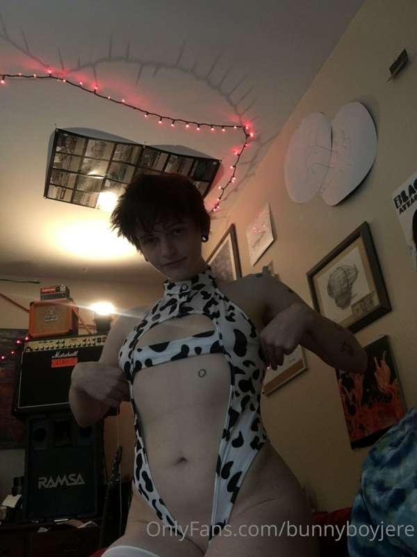 lil cow photoset<33