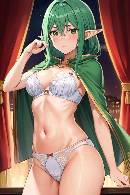 ハイエルフの王族をペットにして連れ回す  52枚(zip, pdf有り)
