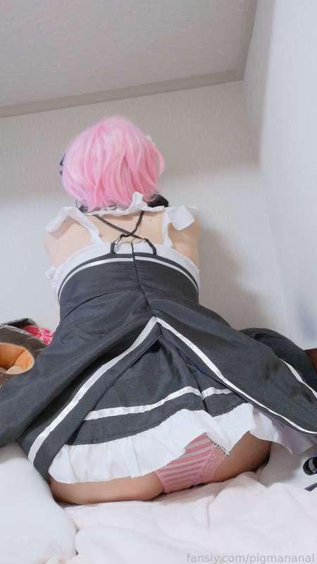 pigmananal image #5