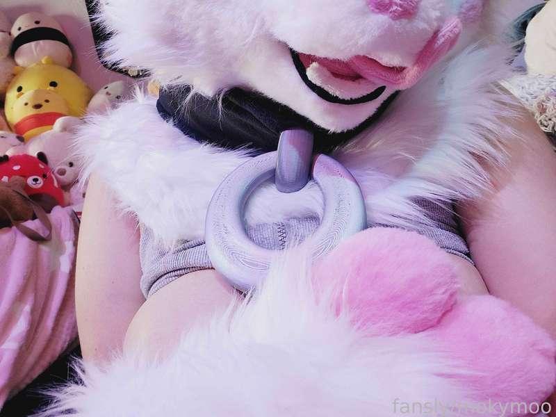 mokymoo image #5