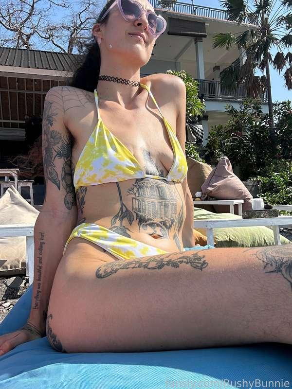 bushybunnie image #2