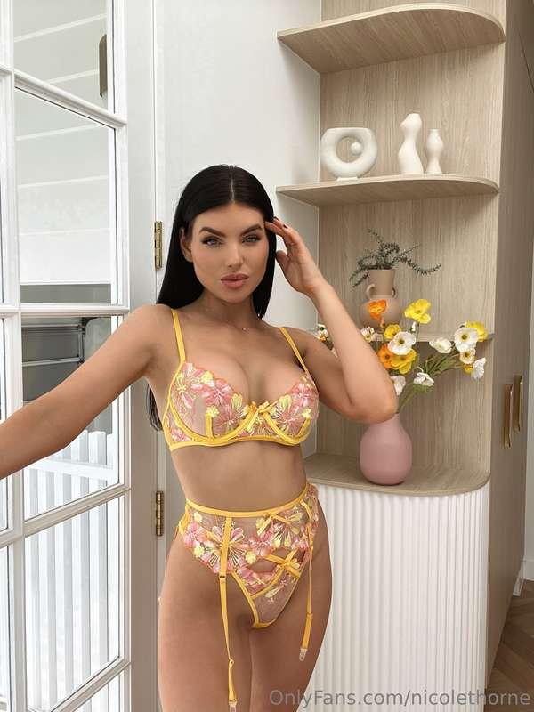 New 🌼