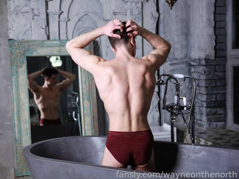 wayneonthenorth image #5