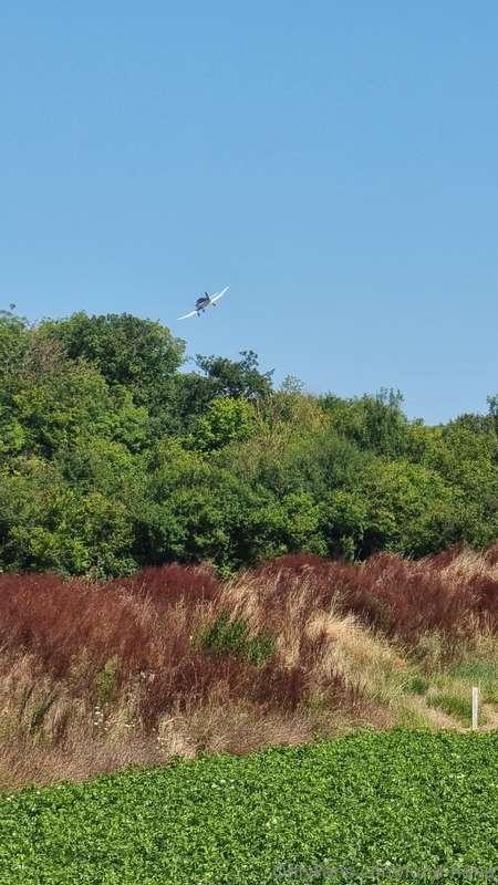 ●Oh! Hello 😜 we take care of ourselves as best we can during..