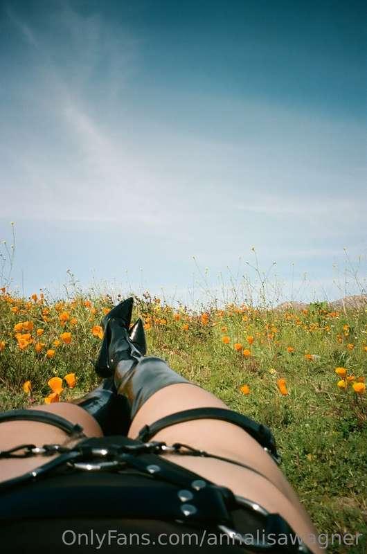 Latex and California poppies are my favorite combo ✨

Self p..