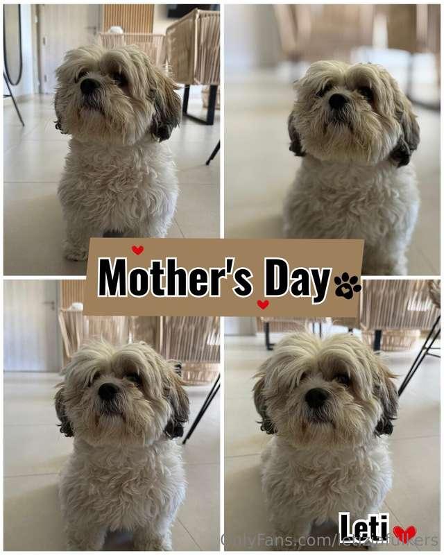 Yes ... I am a mom, but of the most spoiled and spoiled dog ..