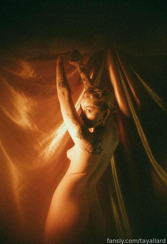 tayallard image #4