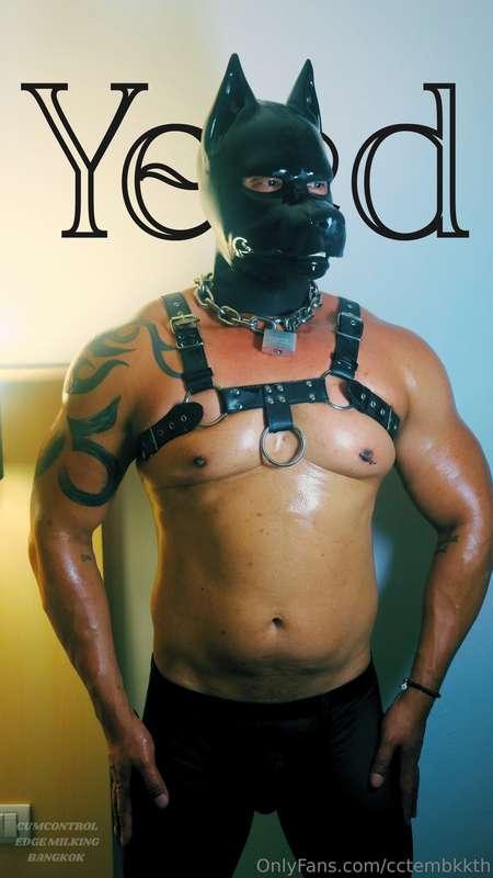𝕐𝕖𝕖𝕕 ⚫️ 𝕃𝕆𝕆𝕂 𝔹𝕆𝕆𝕂 ⚫️#Cumcontrol #Edge #Milking #Bangkok #Yee..