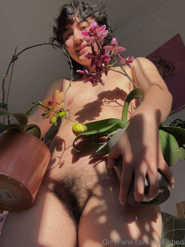 Hi there! I hope me and my orchids bring a little light to y..