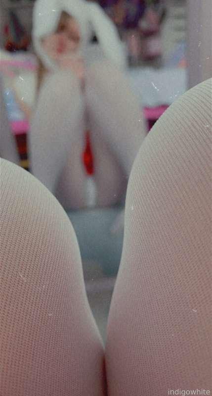 indigowhite image #90