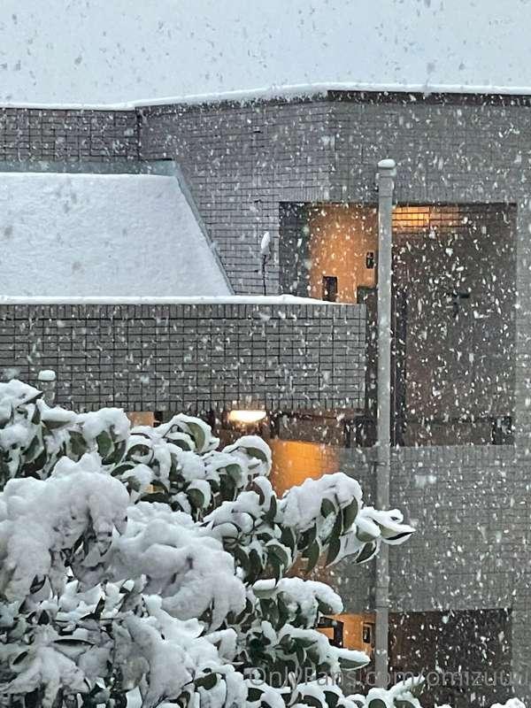 It's been 4 yearssss since it last snowed this much in Tokyo..