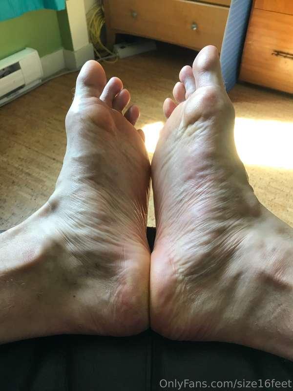 An oldie but a goodie!