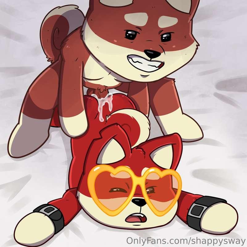 shappysway image #4