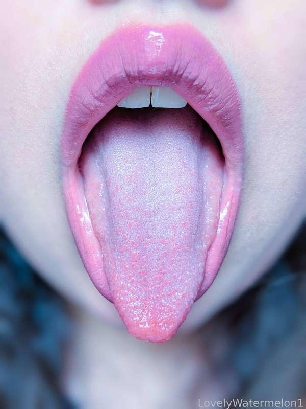 lovelywatermelon1 image #8