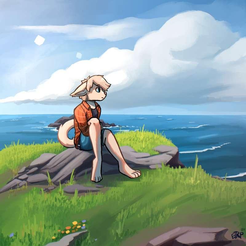 Cove Overlook