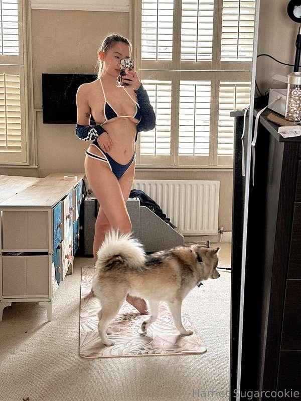 Love how my dogs think they're the main stars. I mean... The..