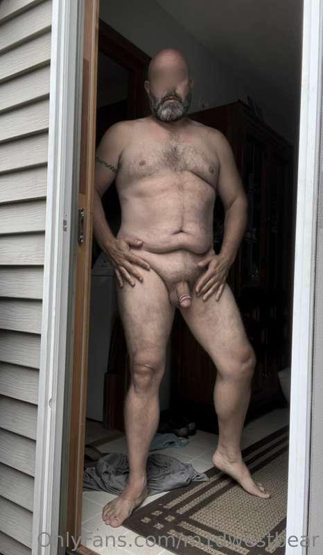 m1dwestbear image #0