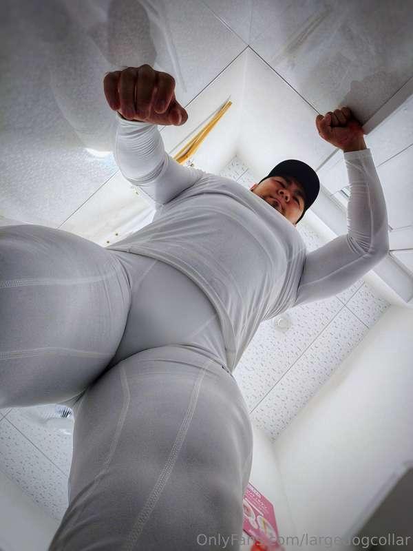 largedogcollar image #0