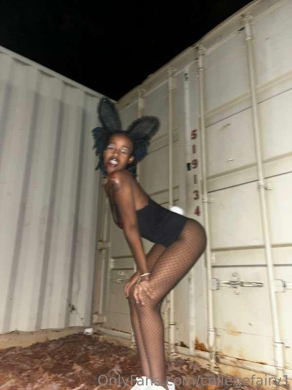 collegefairy1 image #3