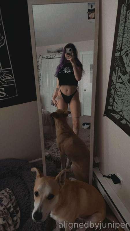 Good morning from Bentley and I 🐕😋
What are you up to this h..