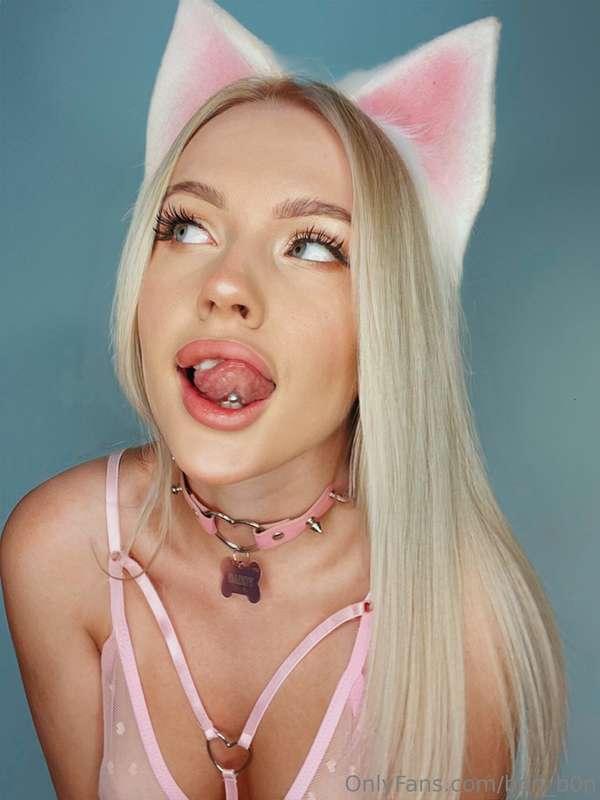 Your little fox misses playing with you😈
