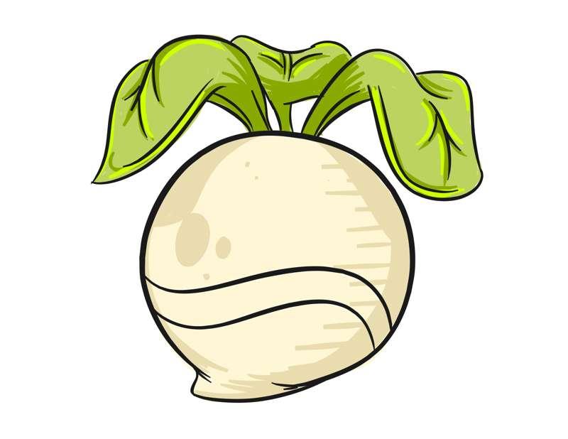 Turnip Coloring Sheet
