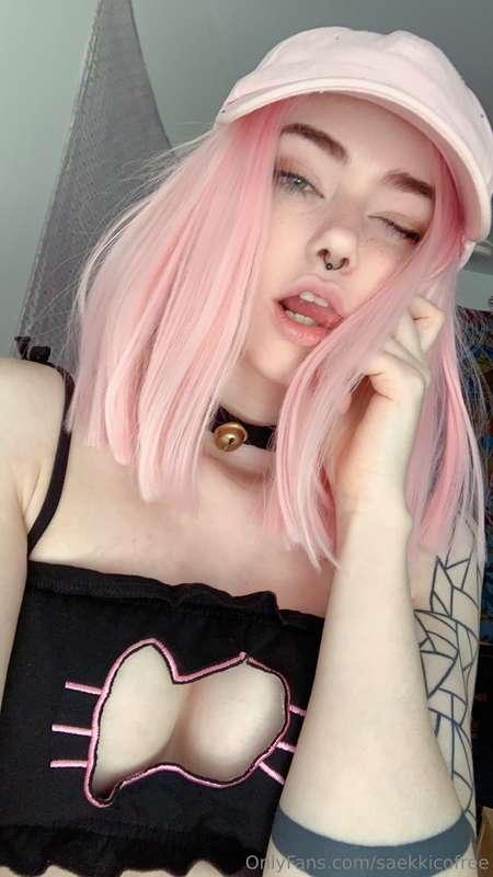 saekkicofree image #0