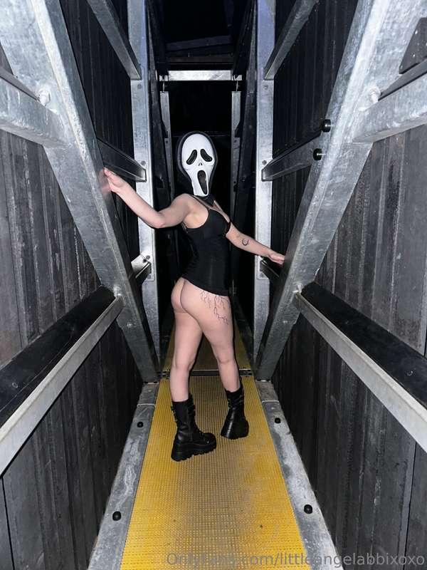 littleangelabbixoxo image #0