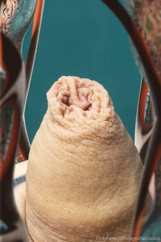 Anthesis