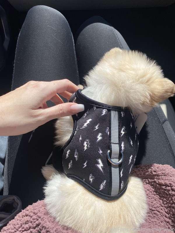 My little cuddle buddy 🙈