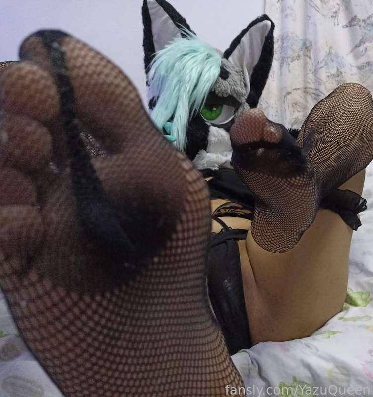 Paws 🐾❤