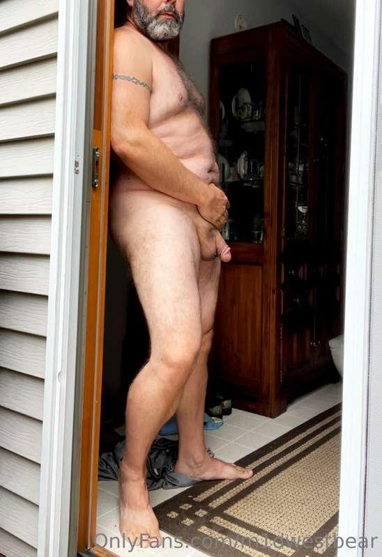 m1dwestbear image #4