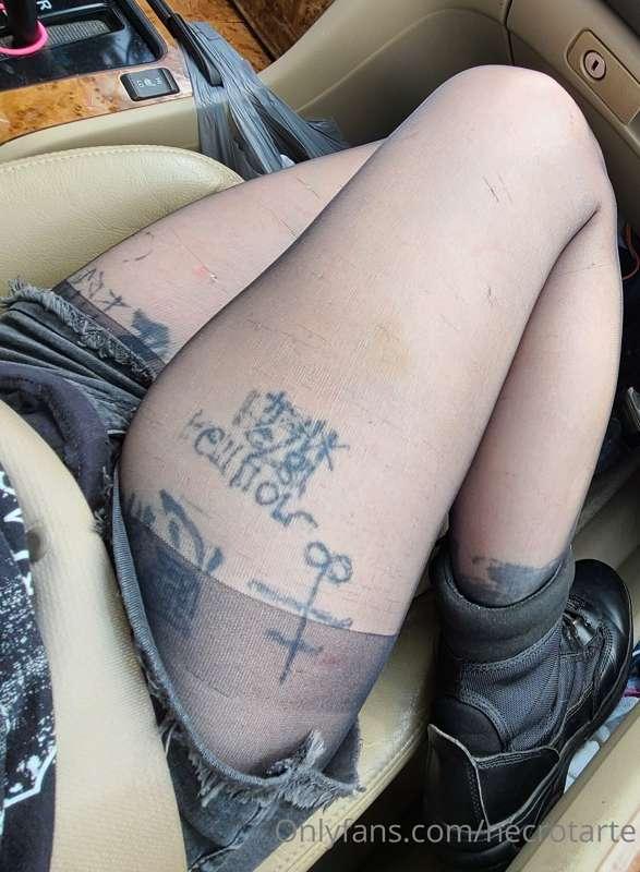 latrodectushex image #13