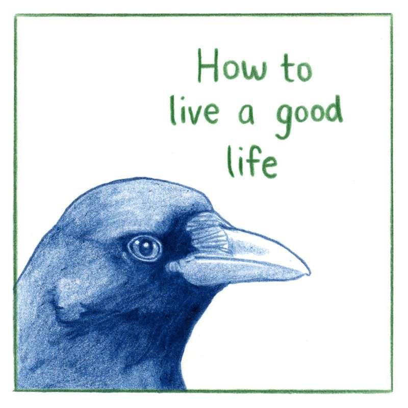 How to live a good life