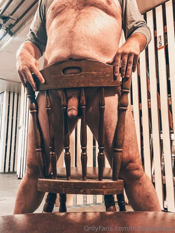 m1dwestbear image #1