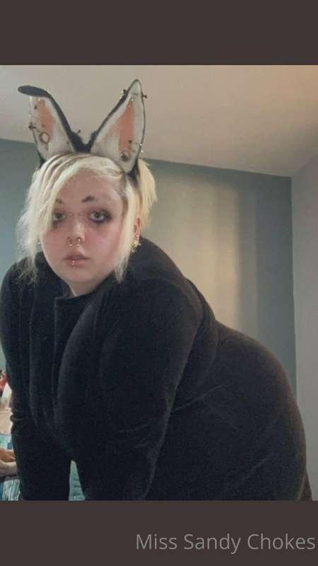 Go give your love to Daddy Bunny!! @xdaddybunnyx   https://w..