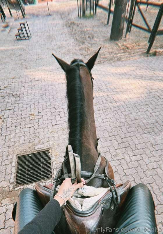 I couldn’t resist the pleasure and went to the stables 🥹🐎🐴❤️