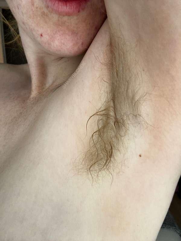 hairyblondie image #4