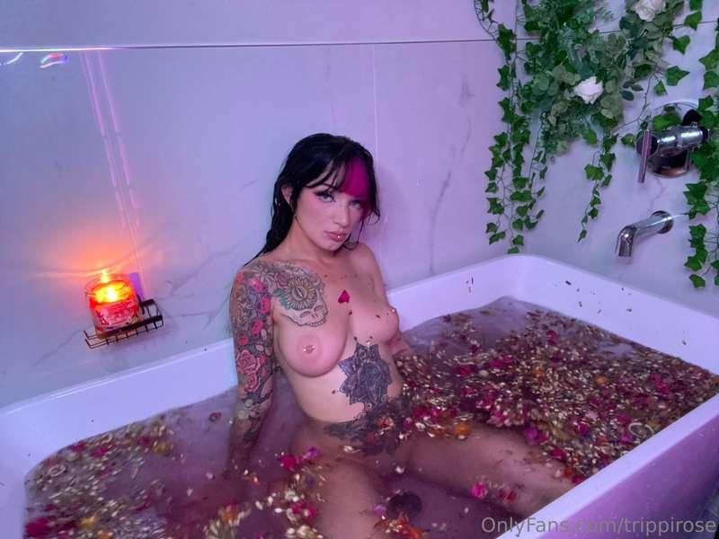 trippirose image #3