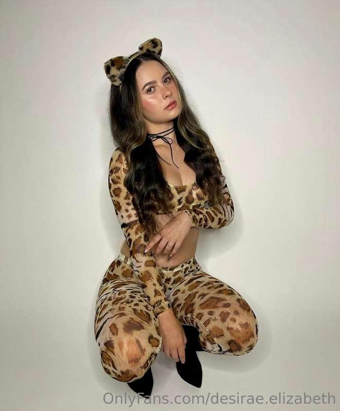 Grrrrrrr 🐅
