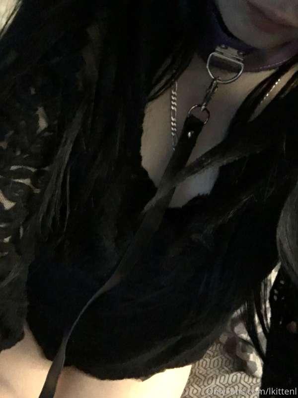 lkittenl image #0