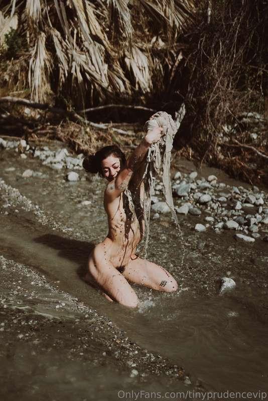 tinyprudencevip image #8