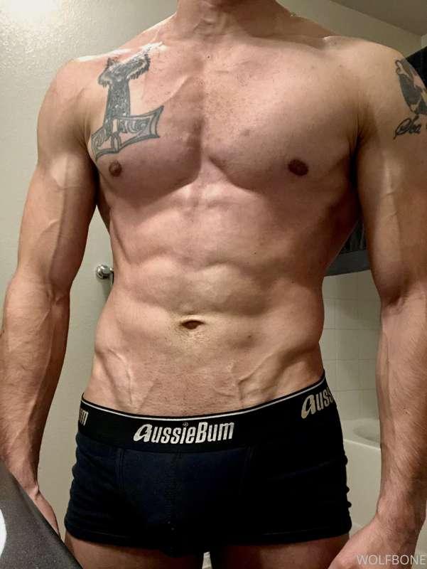 Wolfie Getting ready for the gym! 💪🏼🐺