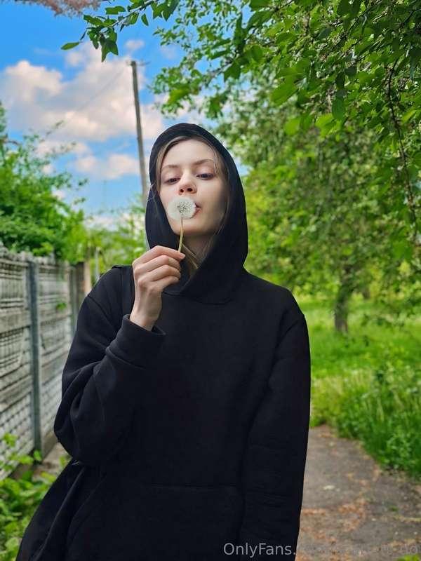 Does anyone know that if you make a wish and blow out a dand..